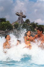 フロリダ ウォルト ディズニー ワールド リゾート テーマパーク 現地ツアー予約はjtbで