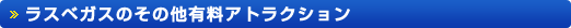 ラスベガスの楽しみ方(満喫編)