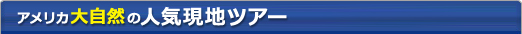アメリカ大自然の人気現地ツアー