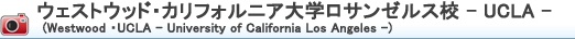 ウェストウッド・カリフォルニア大学ロサンゼルス校-UCLA- (Westwood ・UCLA-University of California Los Angeles-)