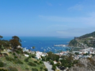 カタリナ島 (Catalina Island)