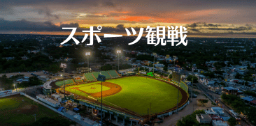 スポーツ観戦