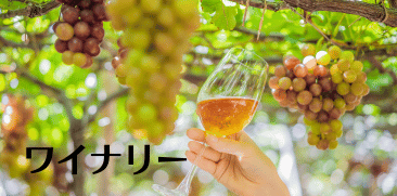 ワイナリー