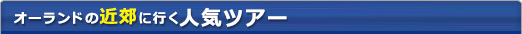 オーランドの近郊に行く人気ツアー