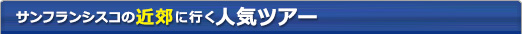 サンフランシスコ近郊に行く人気ツアー