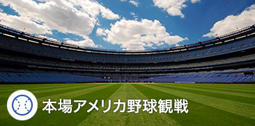 ヤンキースタジアム　シティーフィールド　MLB NYY NYM ヤンキース　メッツ