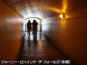 写真7