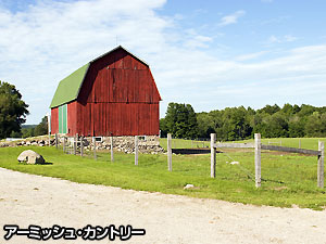 写真2