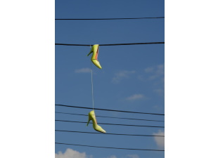 写真9