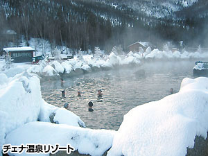 オーロラを求めて!　冬のアラスカ4日間　チェナ温泉滞在コース