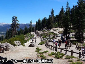 ヨセミテ国立公園･エクスプレス 2日間 (ヨセミテ・ビューロッジ)