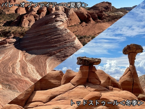 写真8