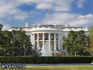 写真3