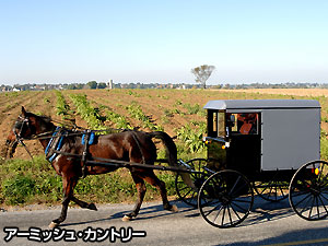 写真7