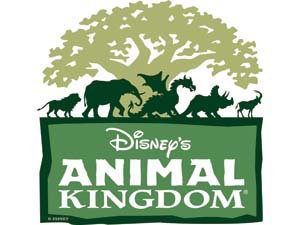 ディズニー アニマル キングダムに夜のショー リバー オブ ライト が新登場 ディズニー アニマル キングダムに夜のショー リバー オブ ライト が新登場