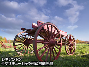 写真5