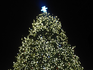 ボストン　クリスマス Boston