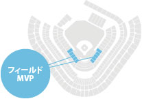 フィールドMVP
